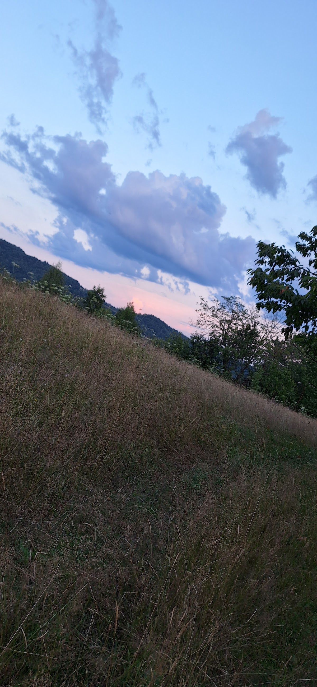 Valea Brusturi - foto 5
