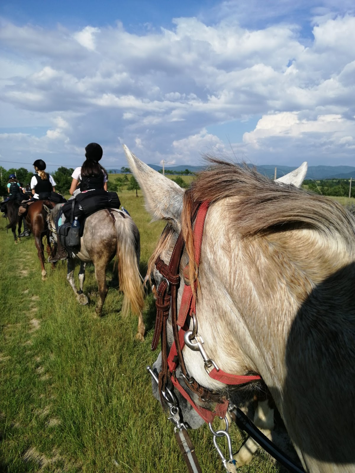 Valea Cailor - foto 2