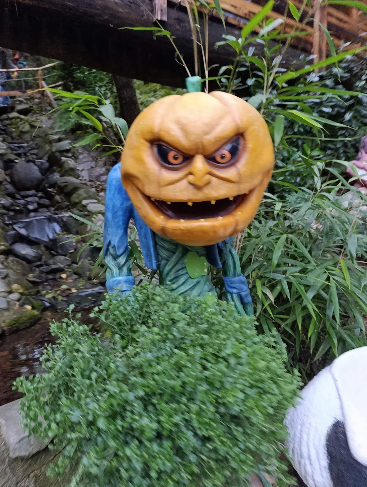 Valea cu Povești - foto 5