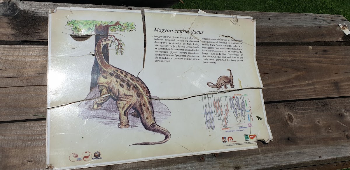Valley of the Dinosaurs - foto 2