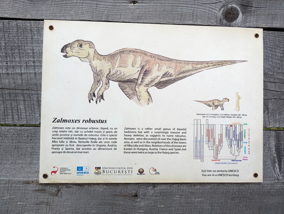 Valley of the Dinosaurs - foto 3