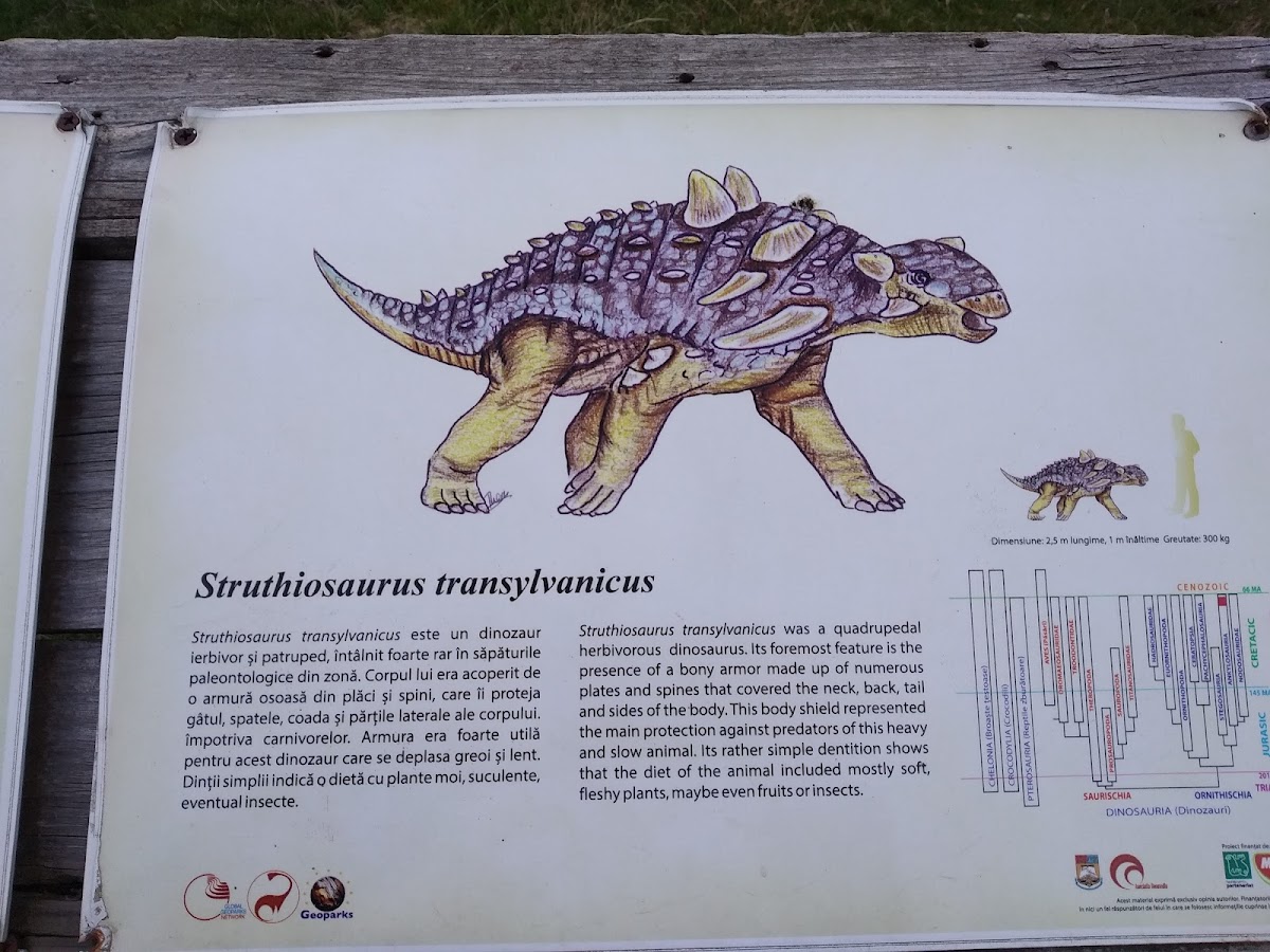 Valley of the Dinosaurs - foto 4