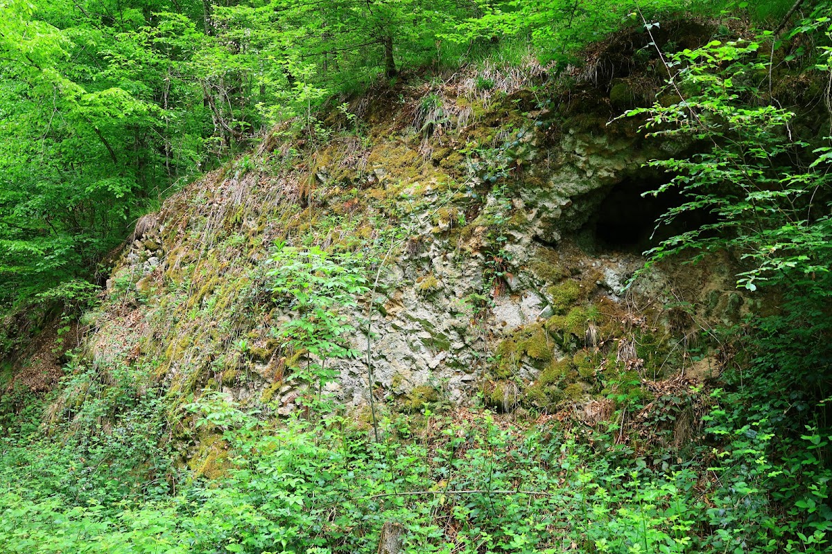 Valea Hasmas - foto 4