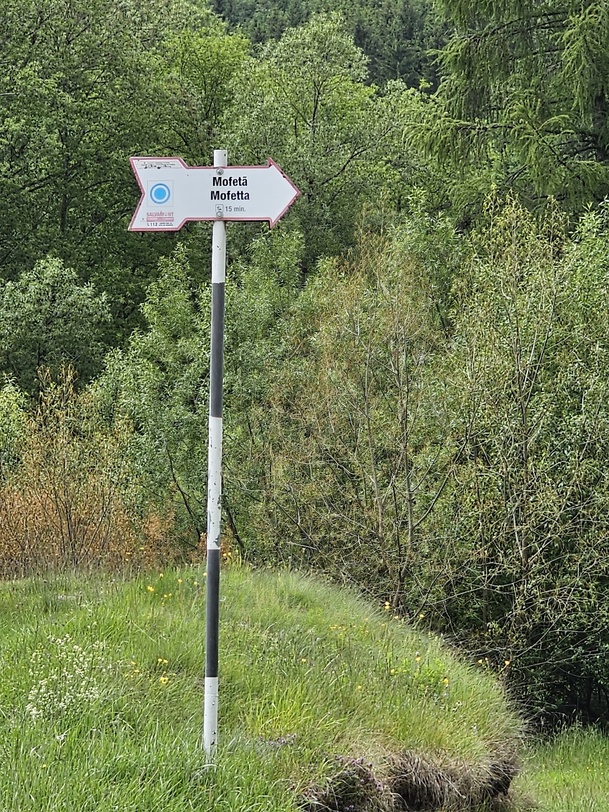 Valea Jajdon - foto 4