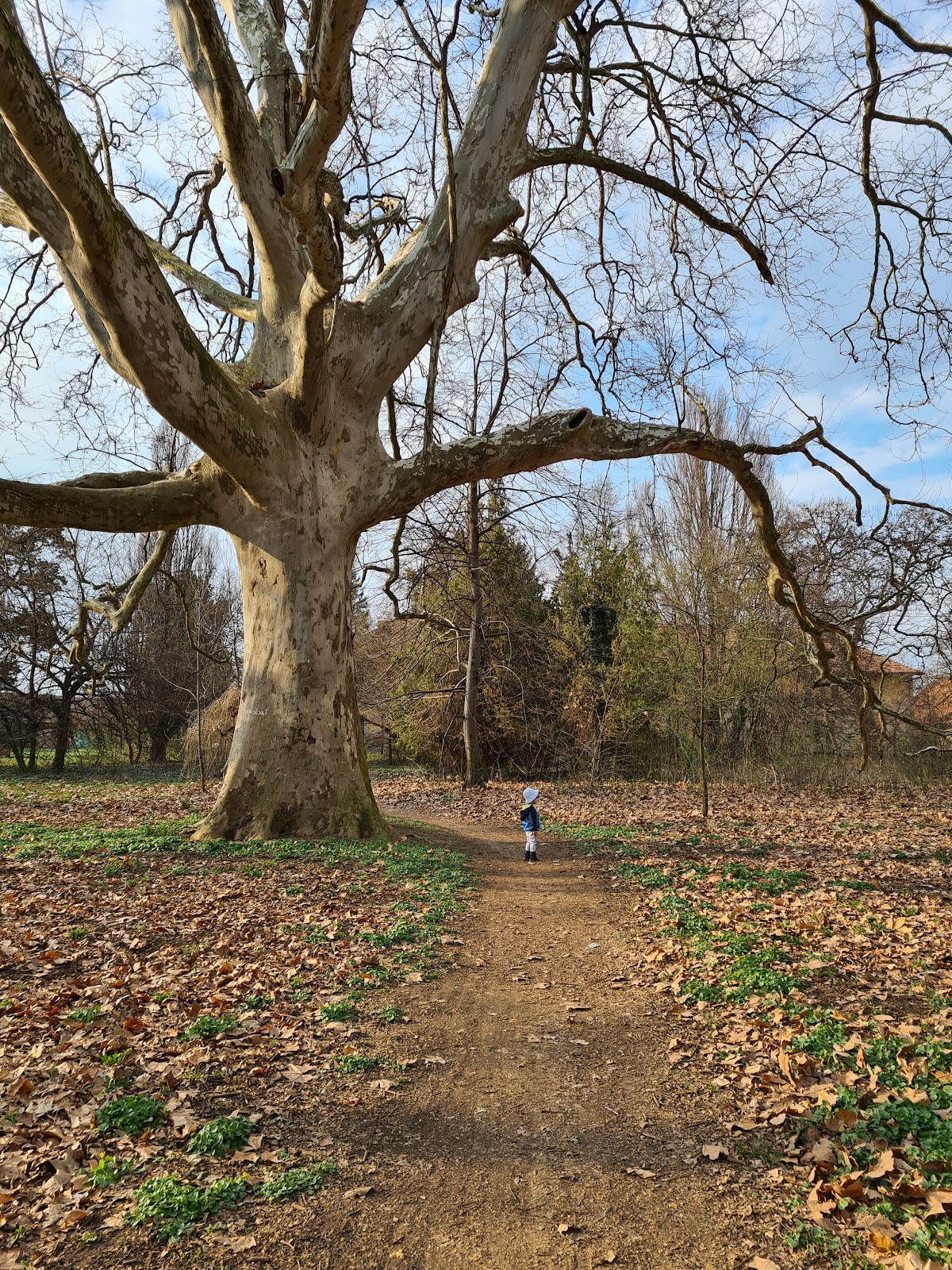 Valea lui Mihai - foto 4