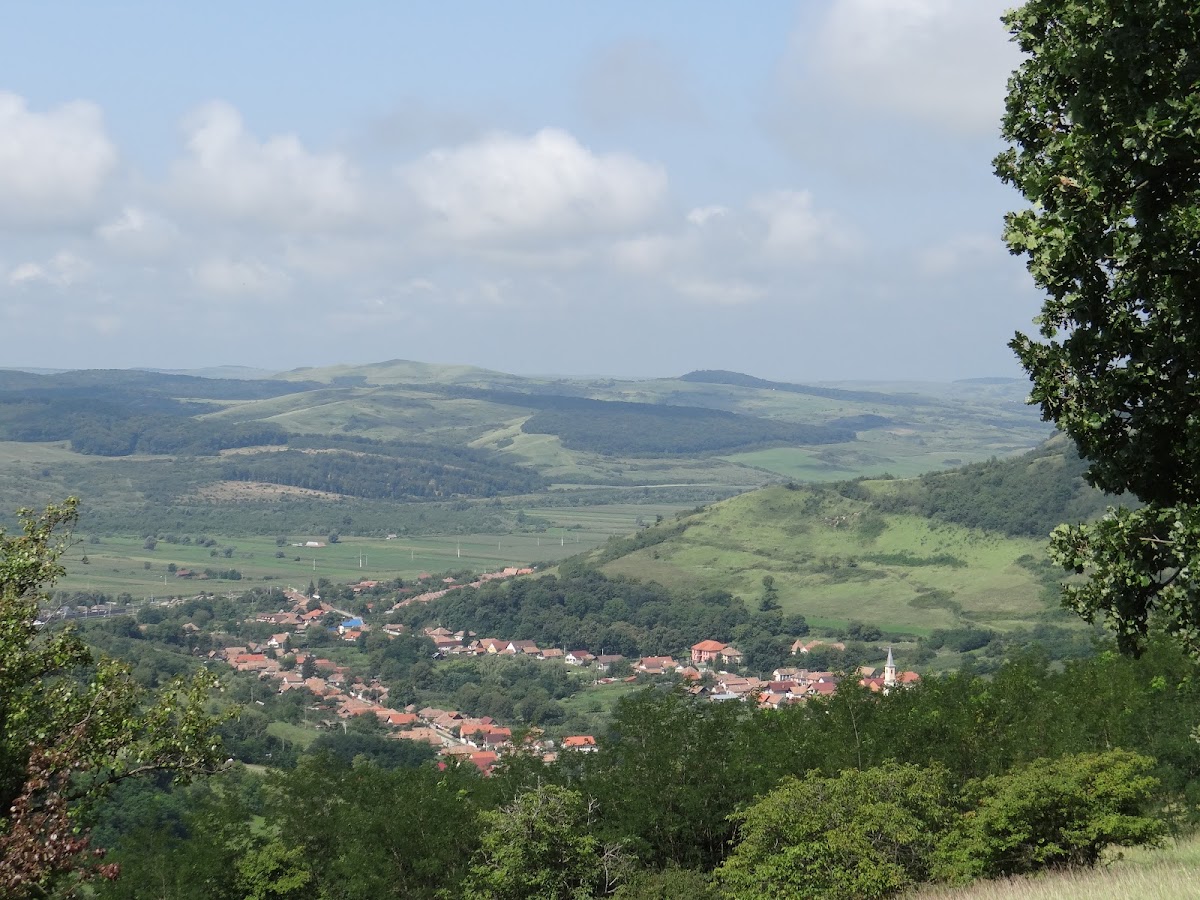 Valea Lungă, Alba, Romania - foto 4