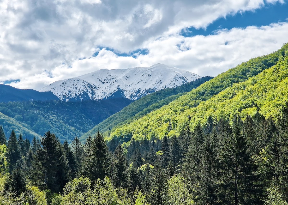 Valea Moașei - foto 1