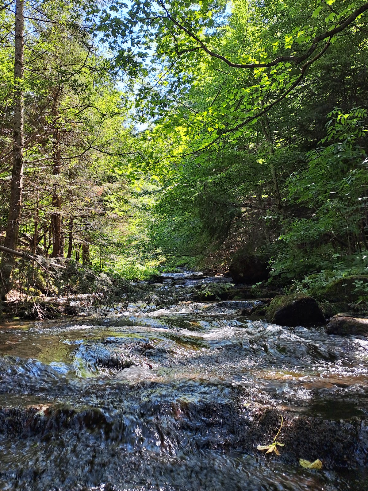 Valea Moașei - foto 2