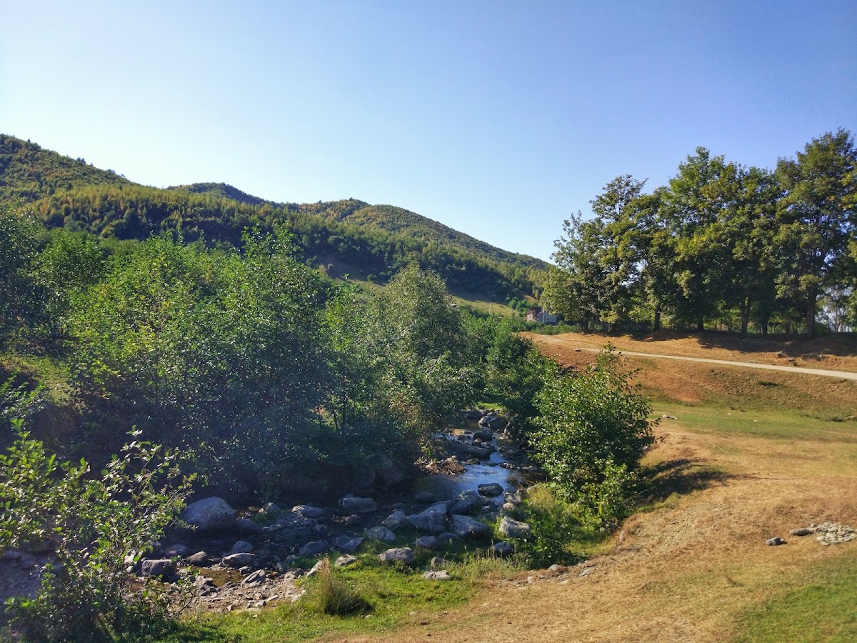 Valea Moașei - foto 4