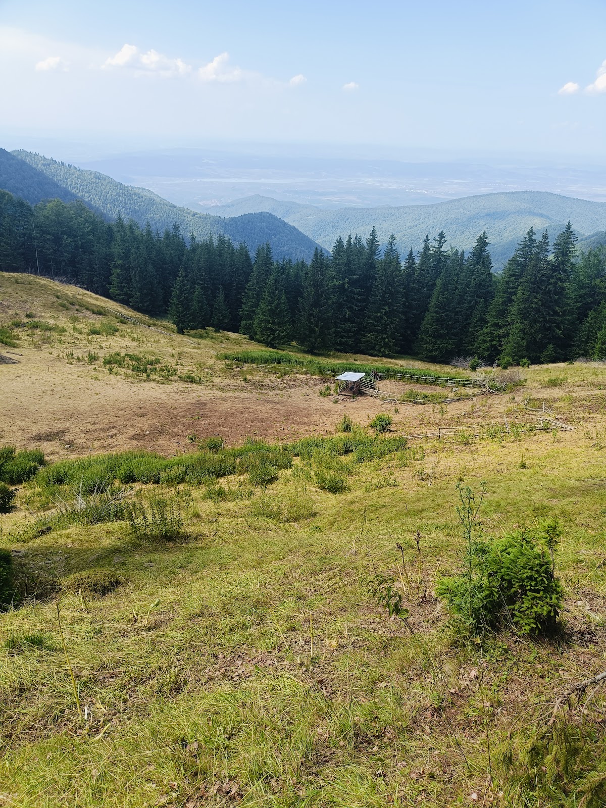Valea Moașei - foto 5