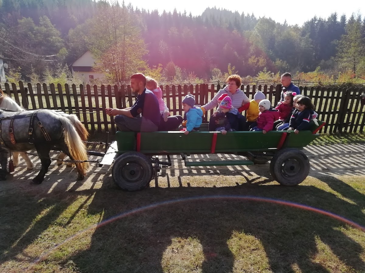 Valea Păcurarului - foto 4