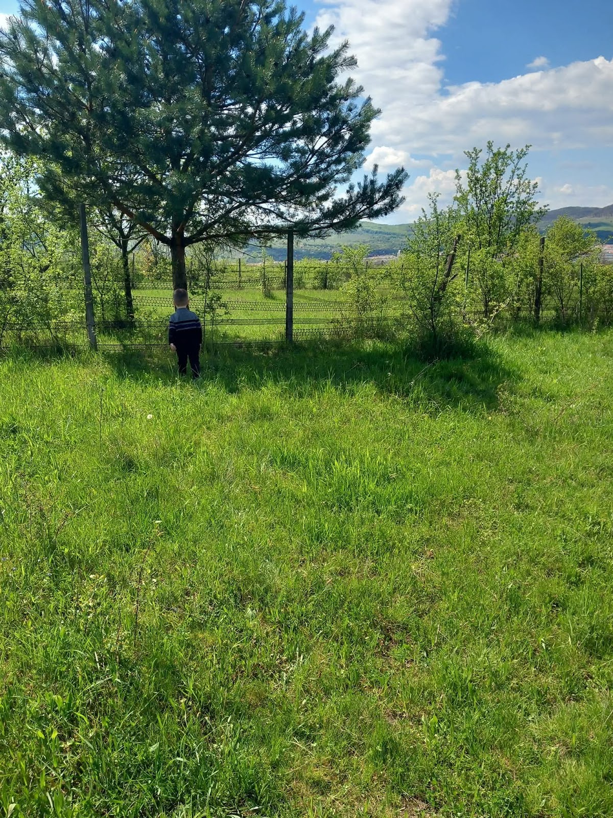Valea Plesi