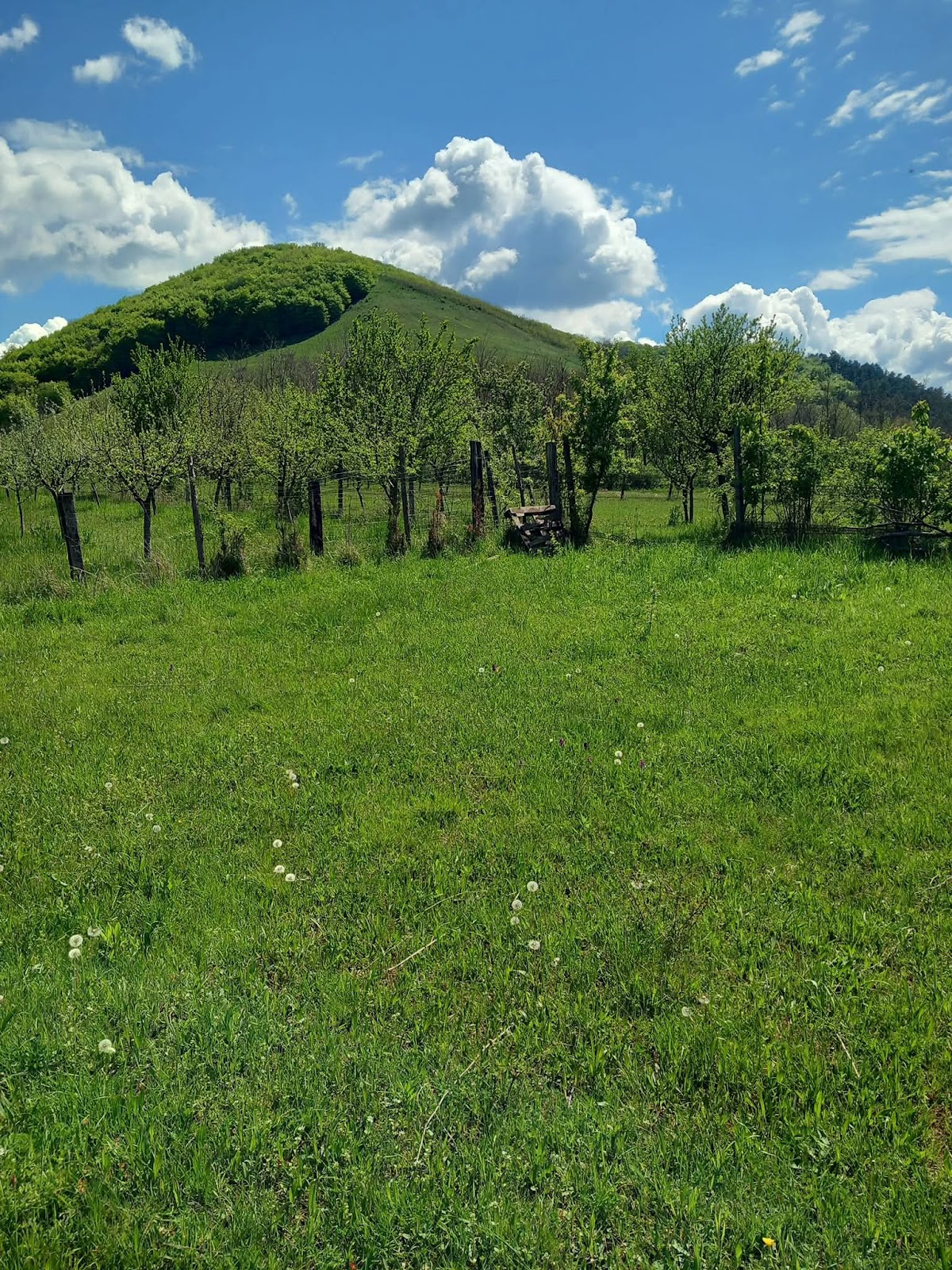 Valea Plesi - foto 2