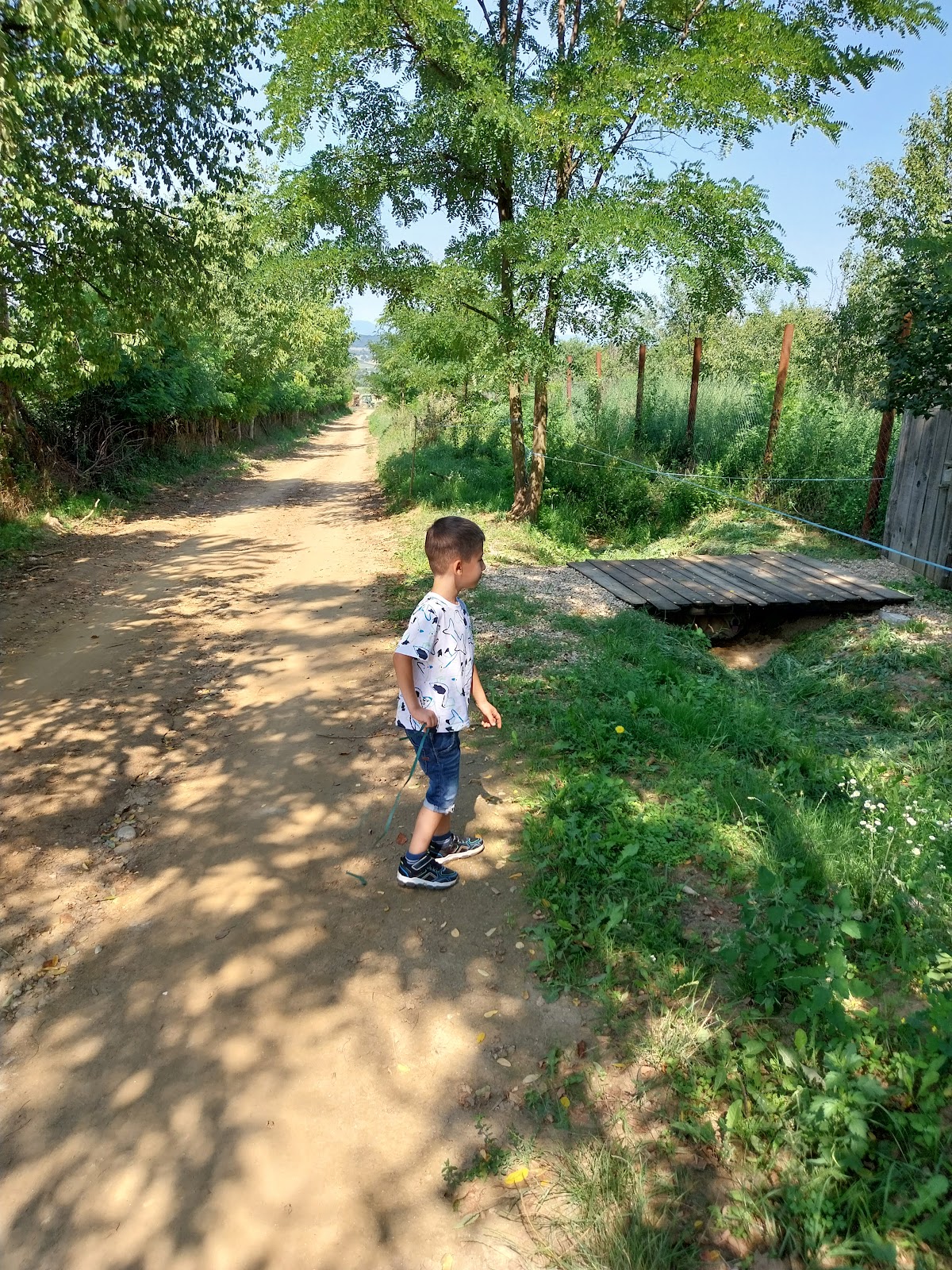Valea Plesi - foto 4