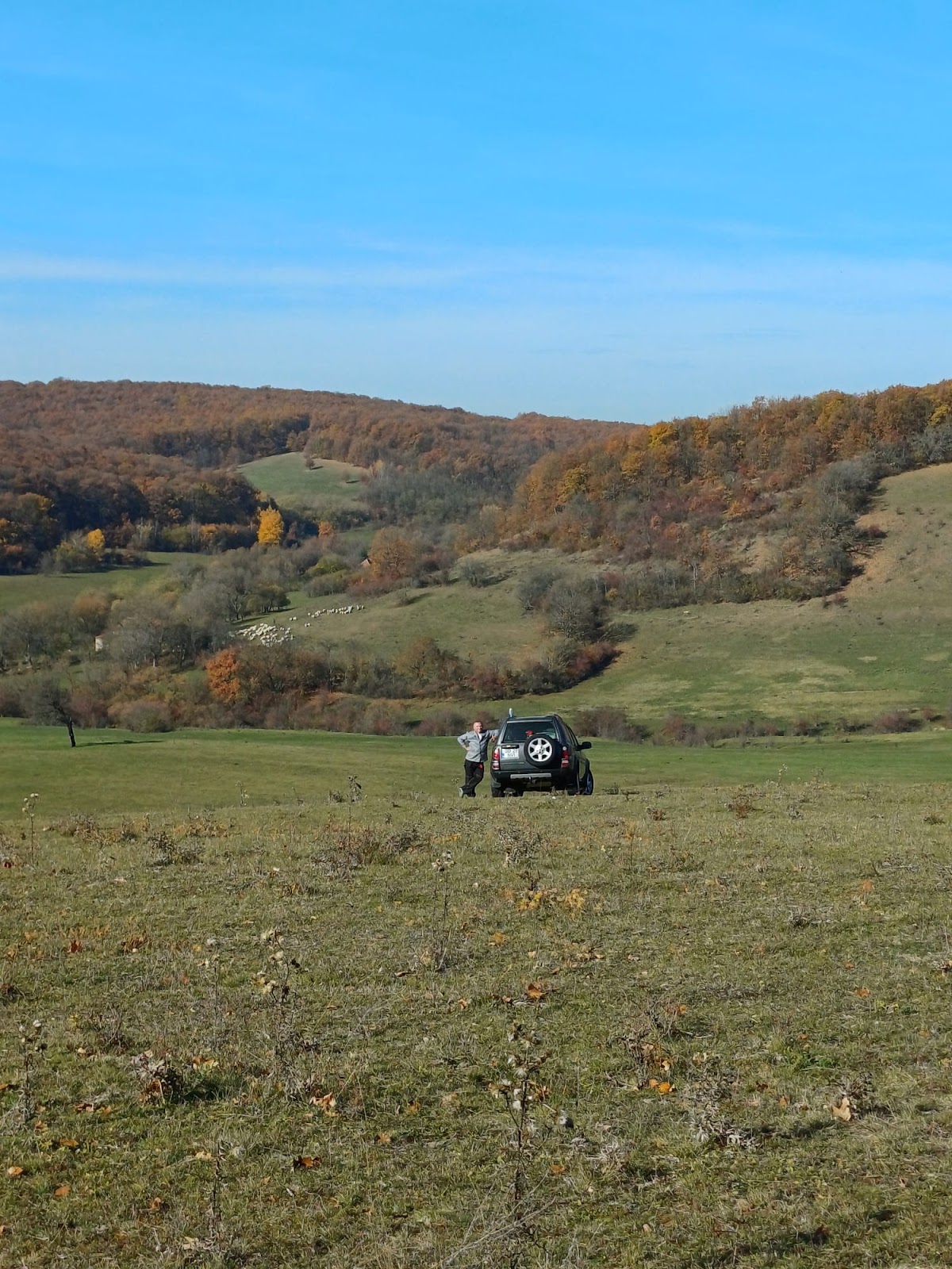 Valea Sângătinului - foto 1