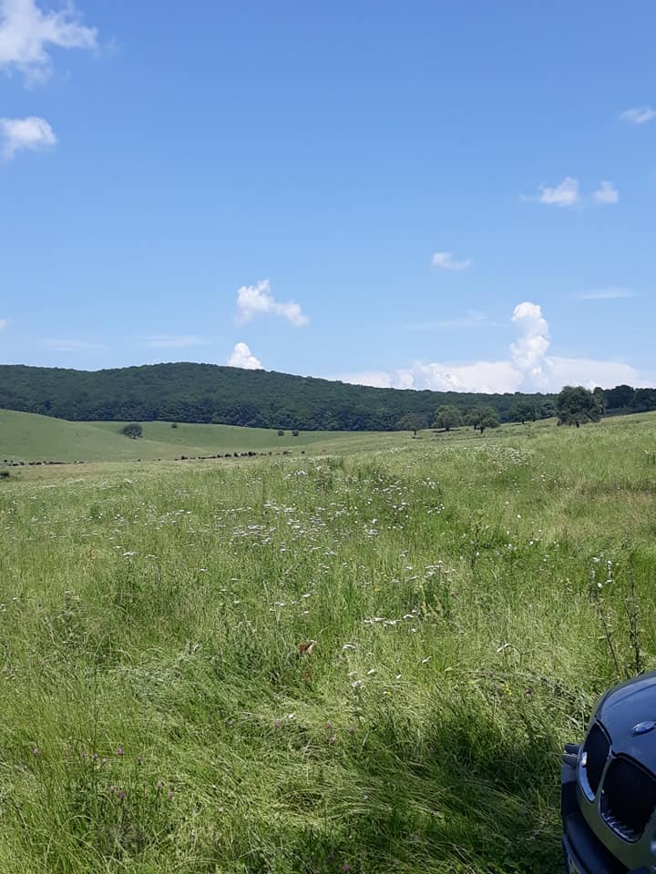 Valea Sângătinului - foto 4