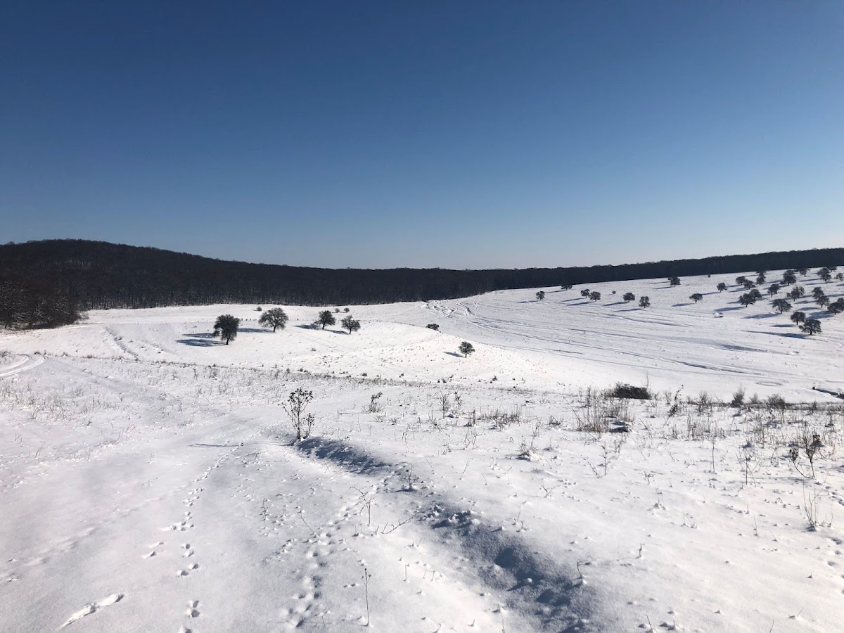 Valea Sângătinului - foto 5