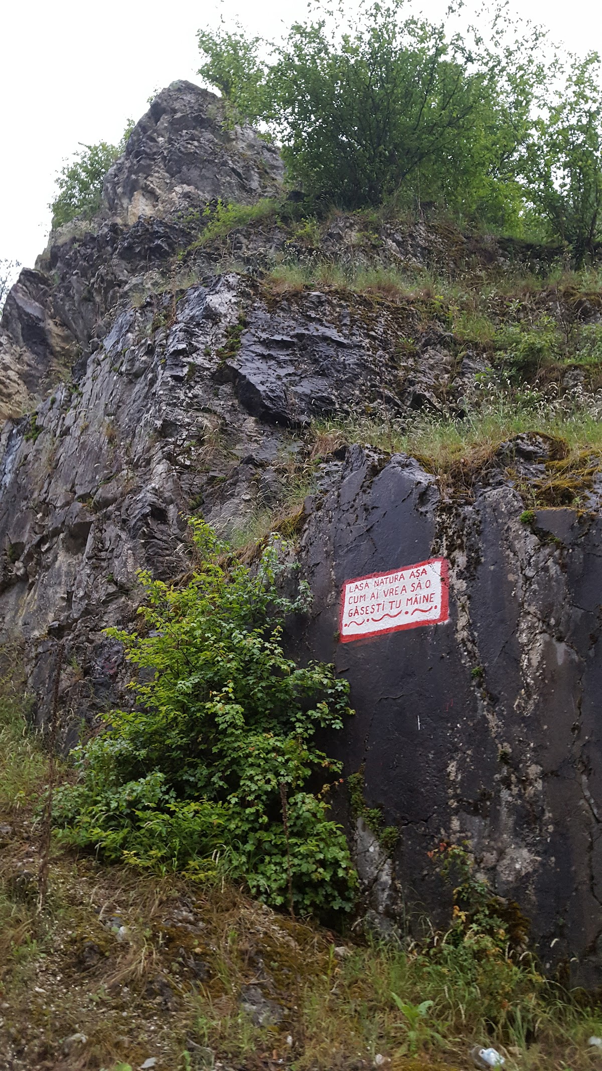 Valea Sohodolului - foto 3