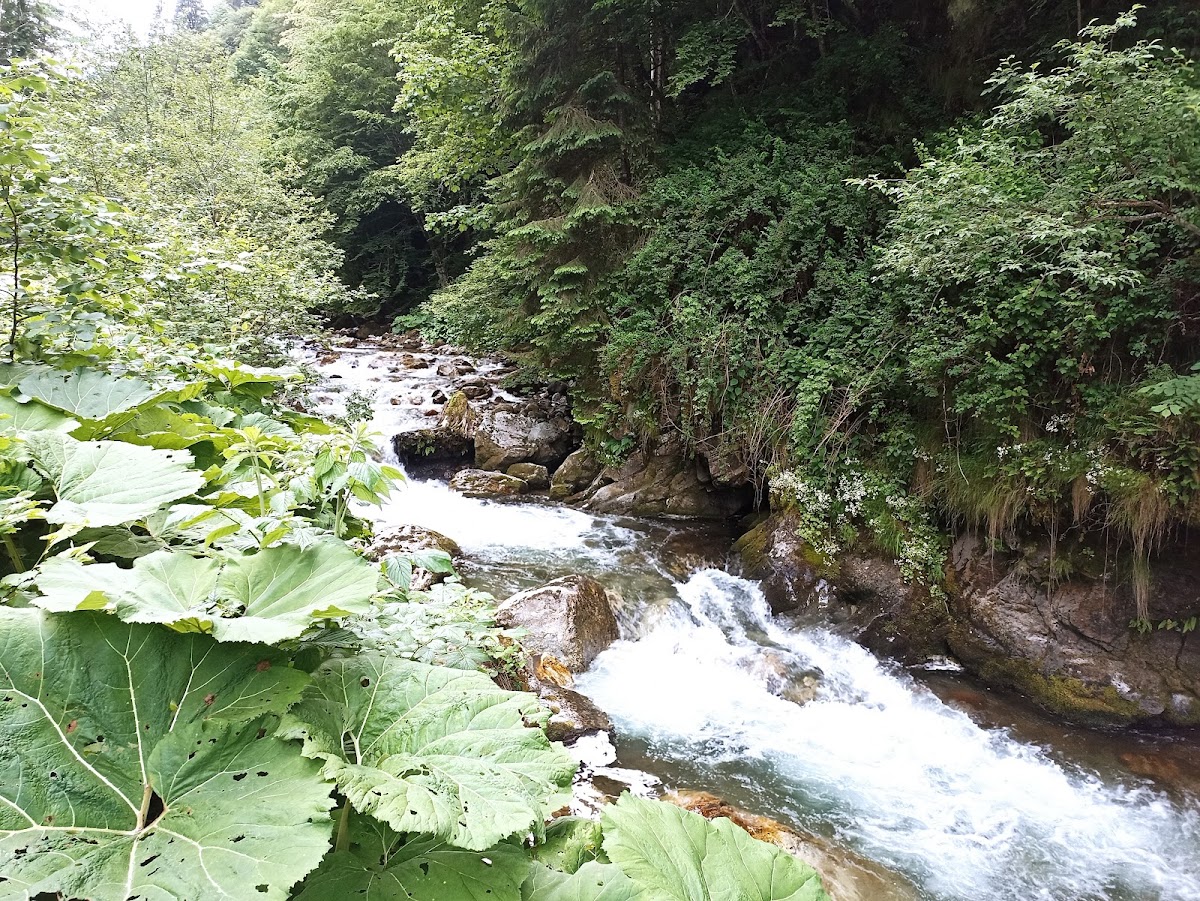 Valea Șucului - foto 4