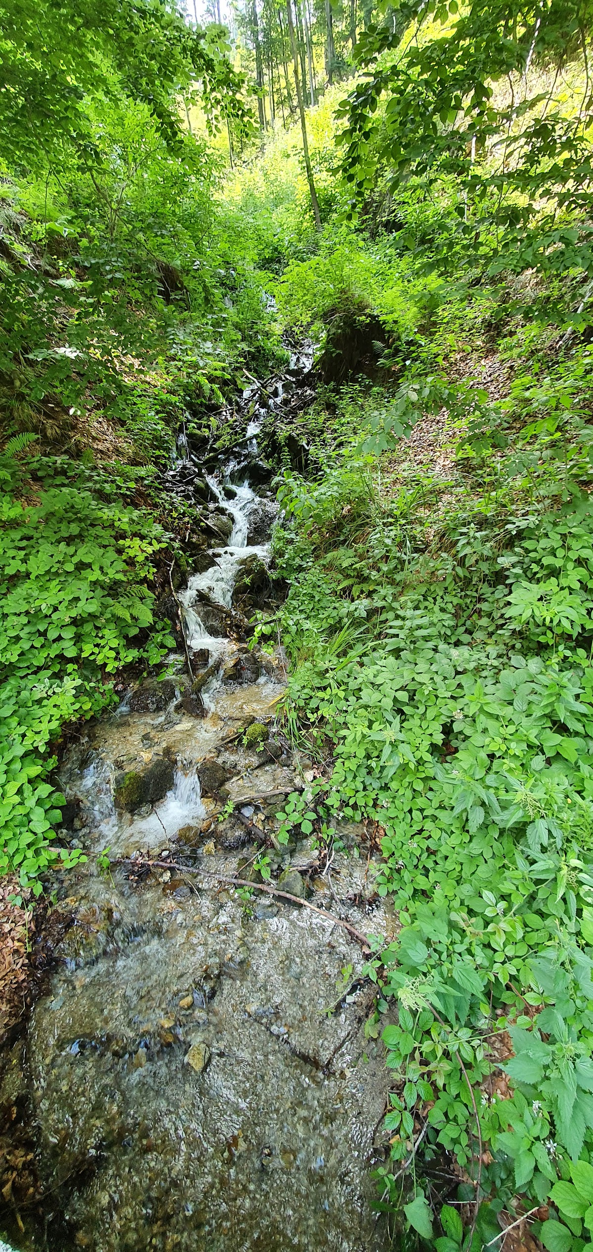 Valea Susenilor - foto 2
