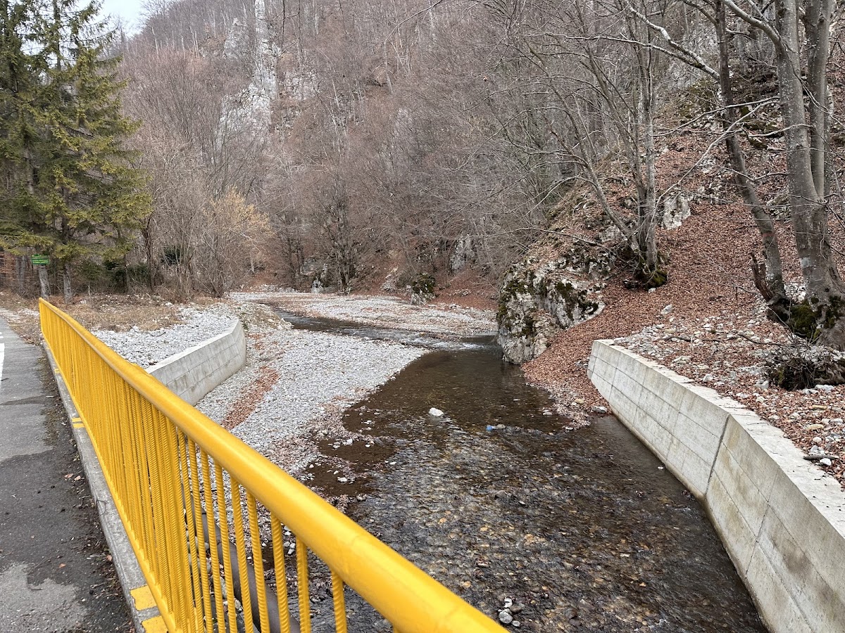 Valea Susenilor - foto 5