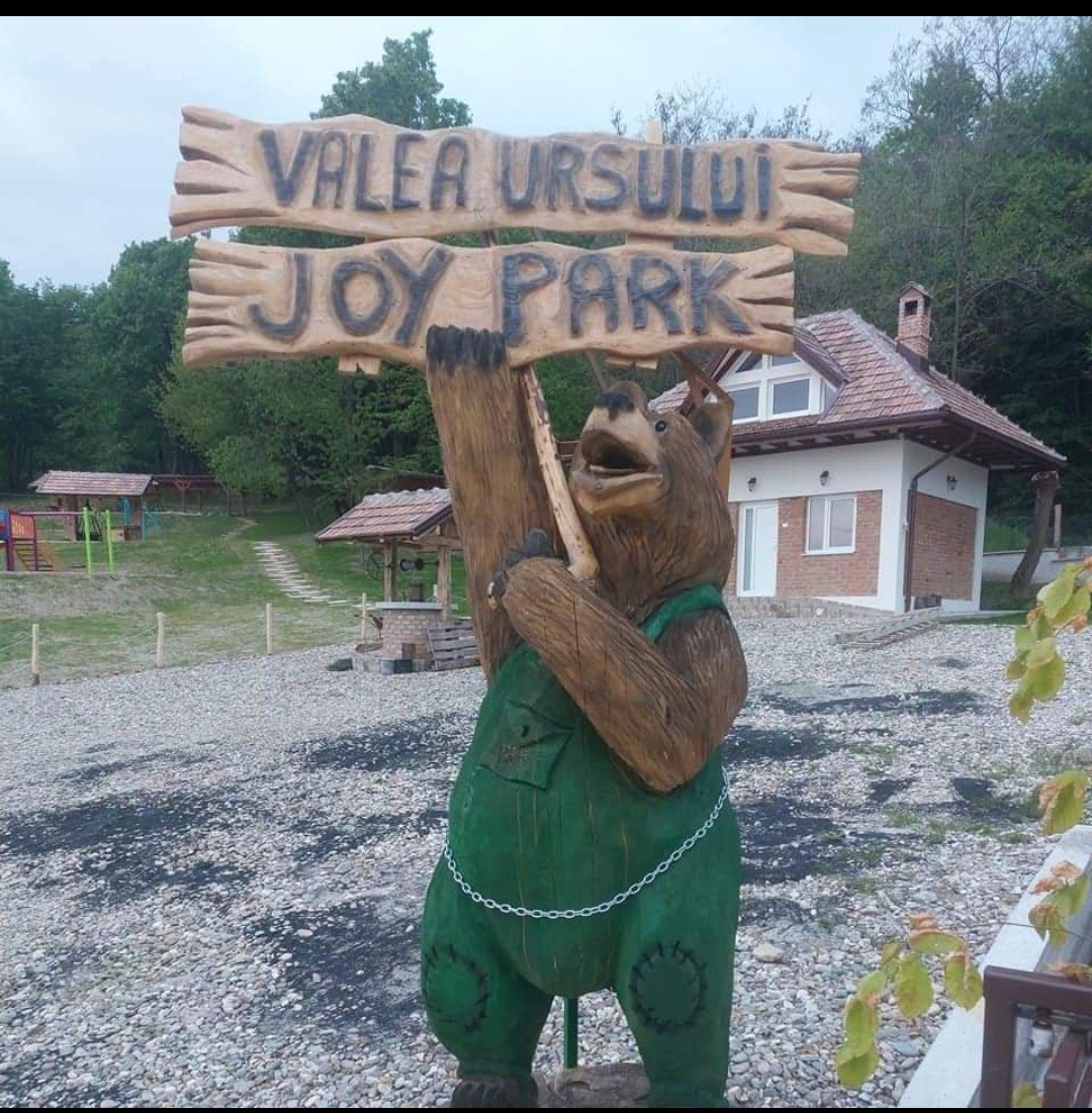 Valea Ursului Joy Park - foto 5