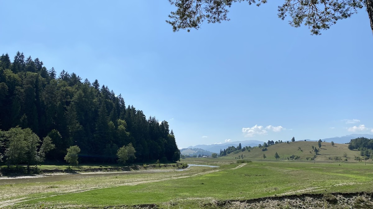 Valea Zimbrilor - foto 4