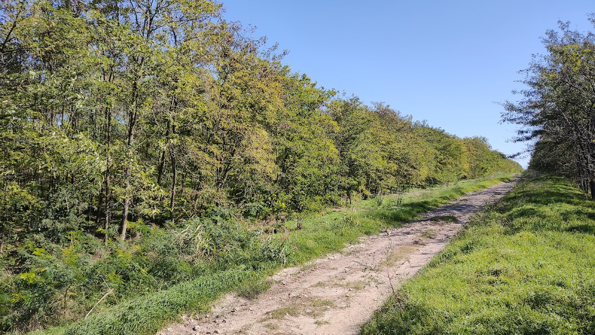 Valul mic de Pământ - foto 3