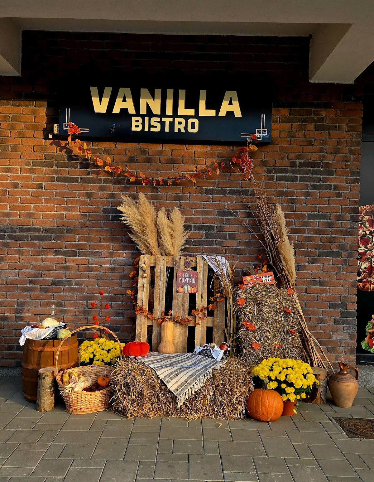 Vanilla Bistro Sag
