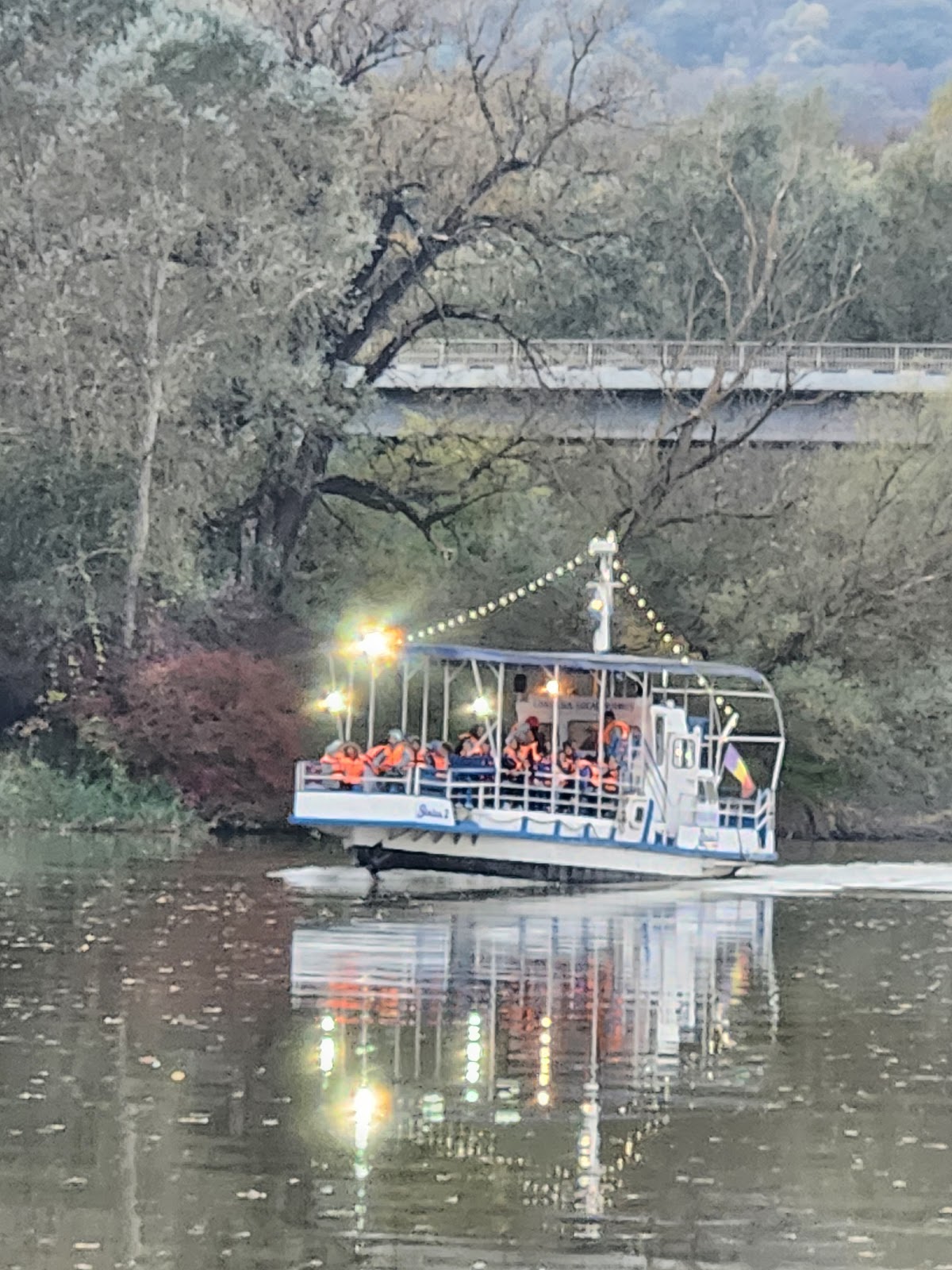 Șoimuș Boot - foto 3