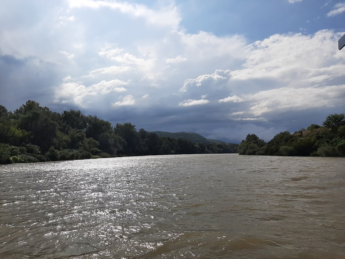 Șoimuș Boot - foto 4