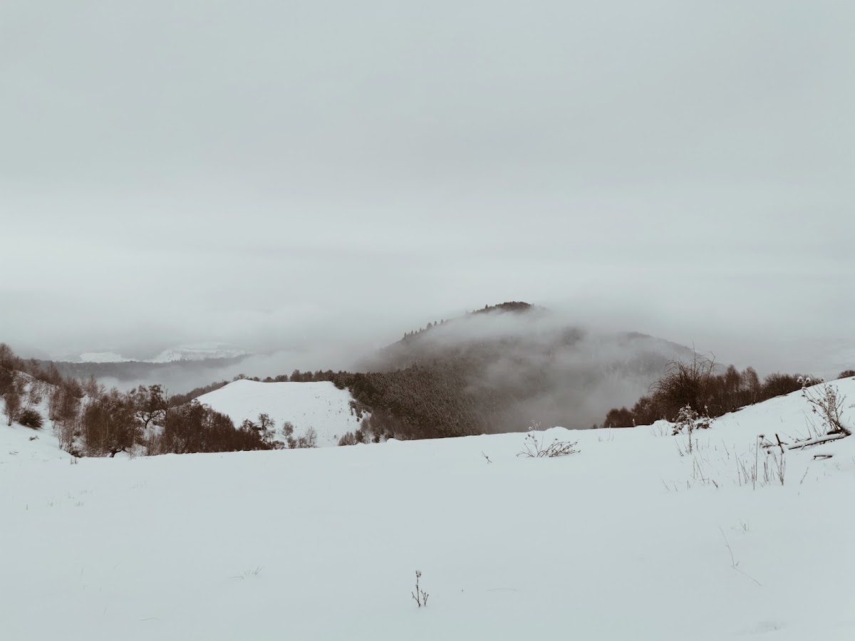 Sommet Fraga - foto 3