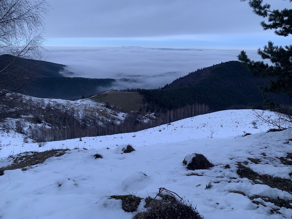 Sommet Fraga - foto 4
