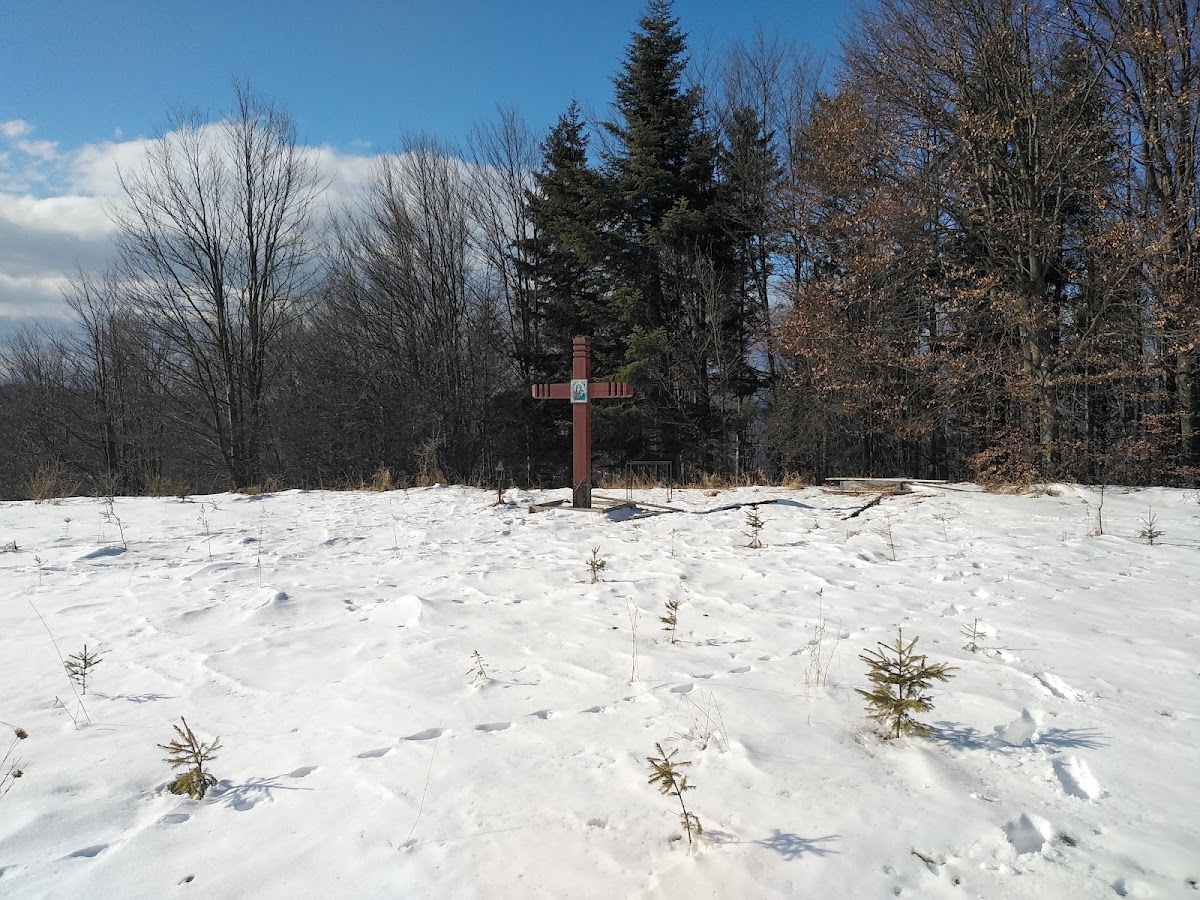 Varful Măgura - foto 2