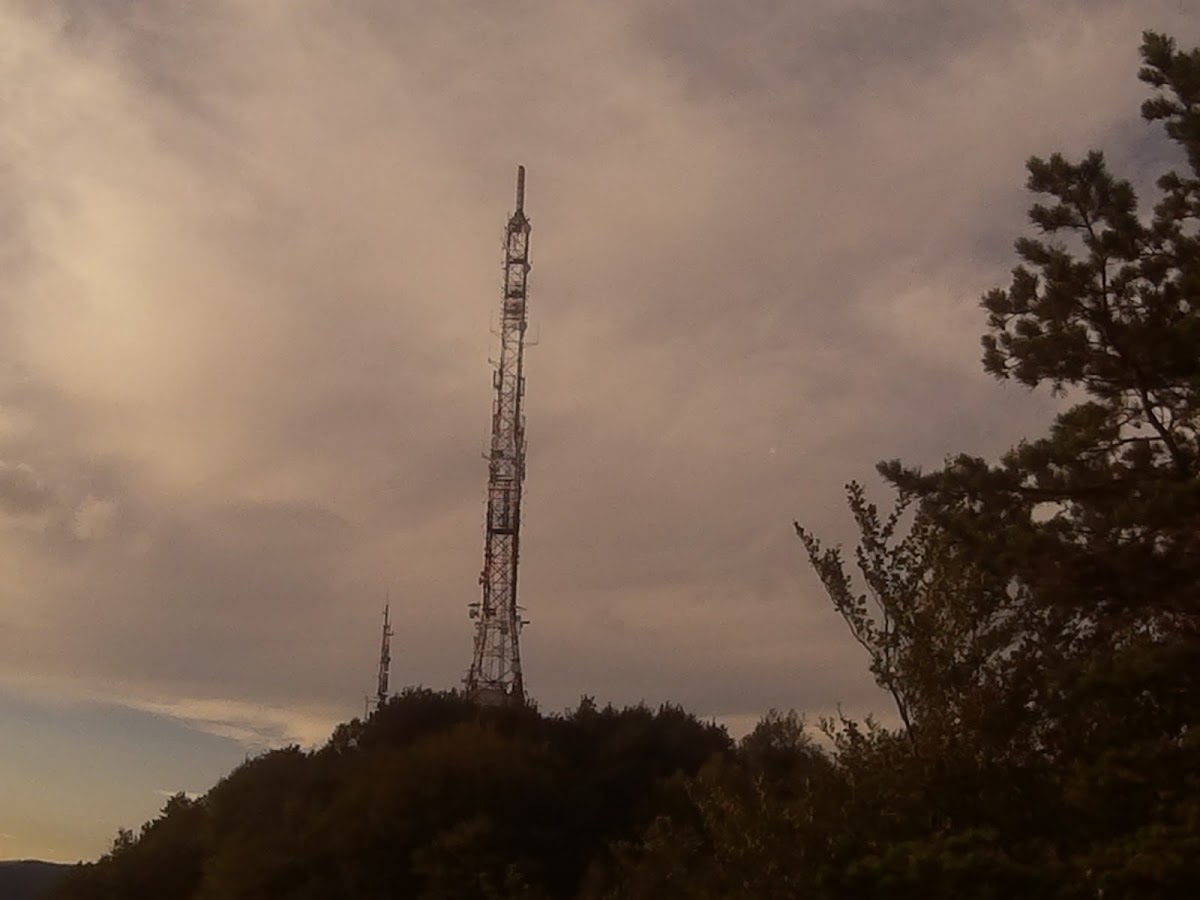 Punta Panorama - foto 2