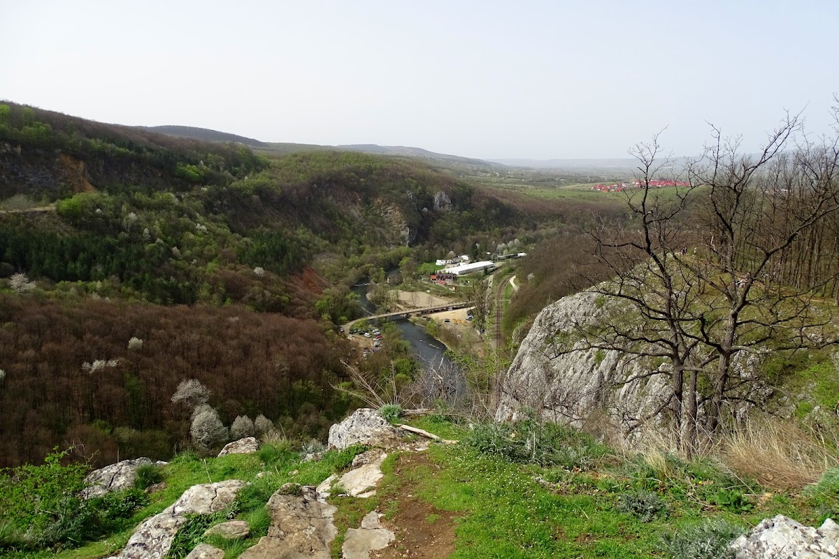 Vadu Crişului