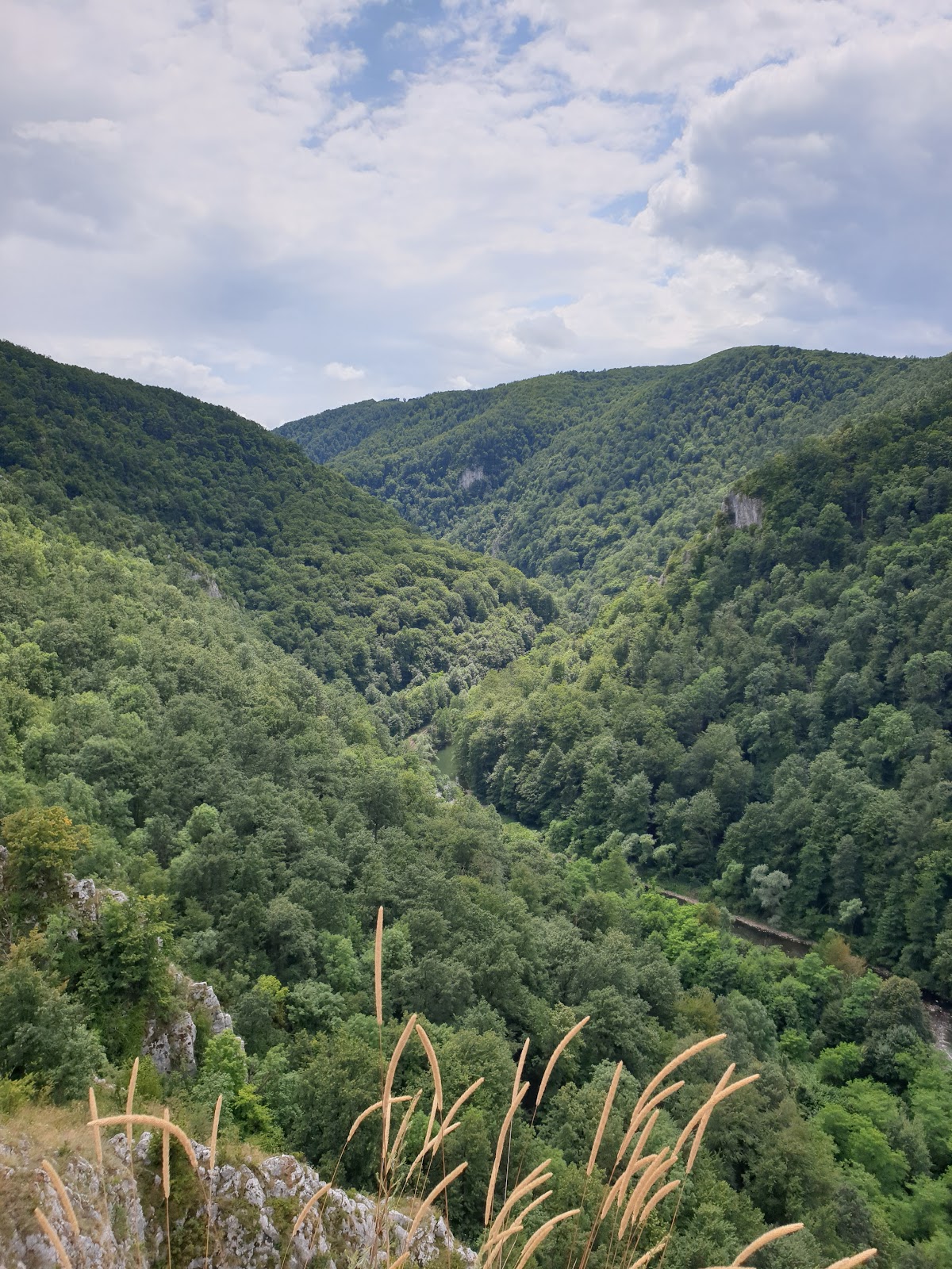 Vârful Stanului, Vadu-Crişului, Bihor - foto 2