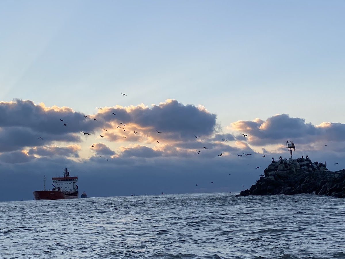 Varsarea Dunarii in Marea Neagra - Sulina - foto 4