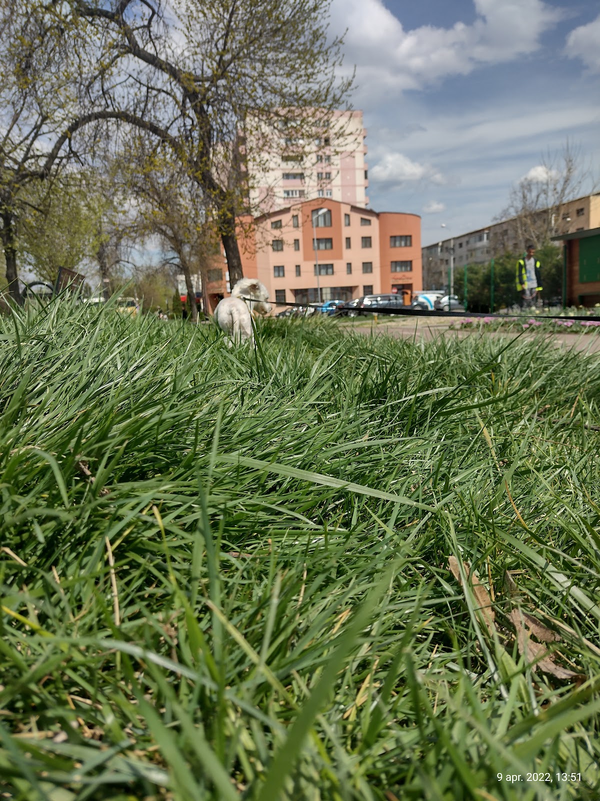 Velo Park FOCSANI - foto 5