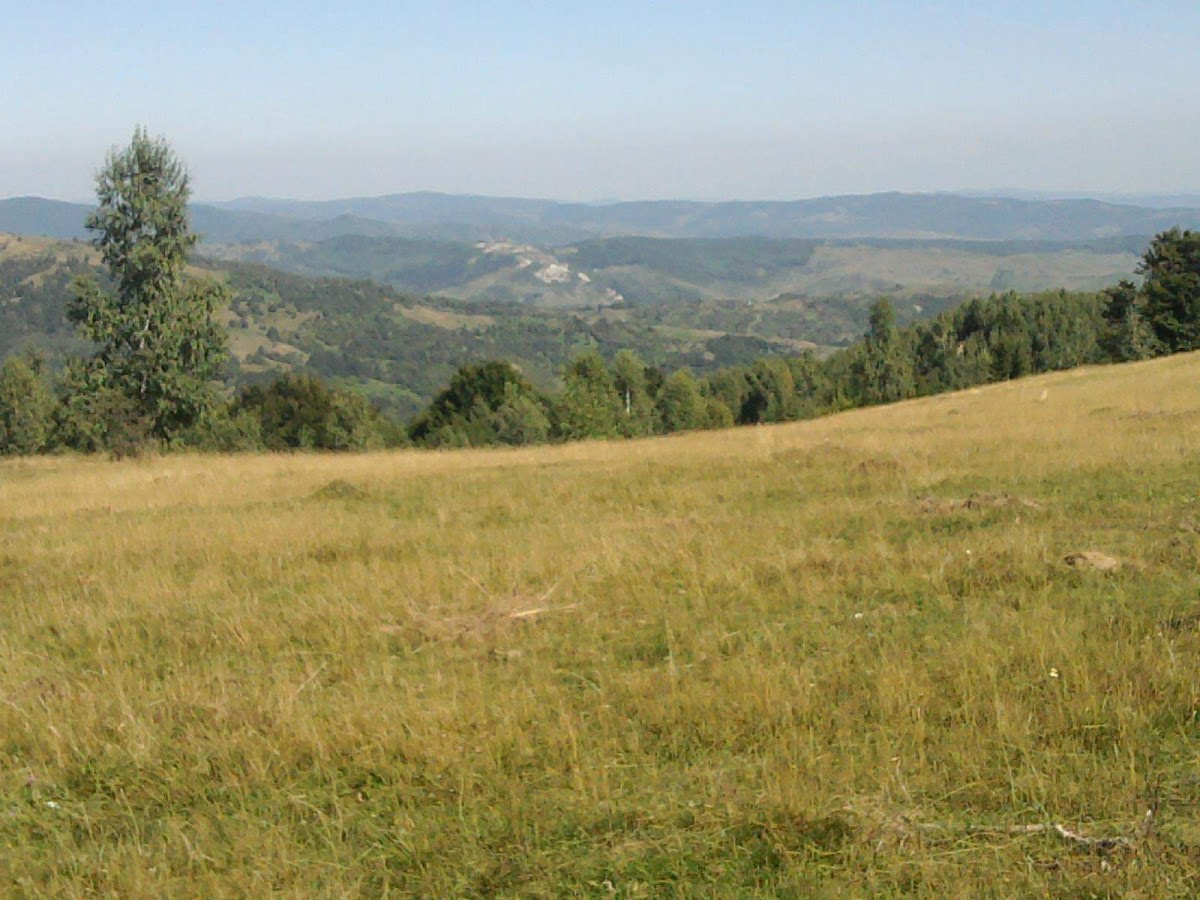 Vf. Măciuca