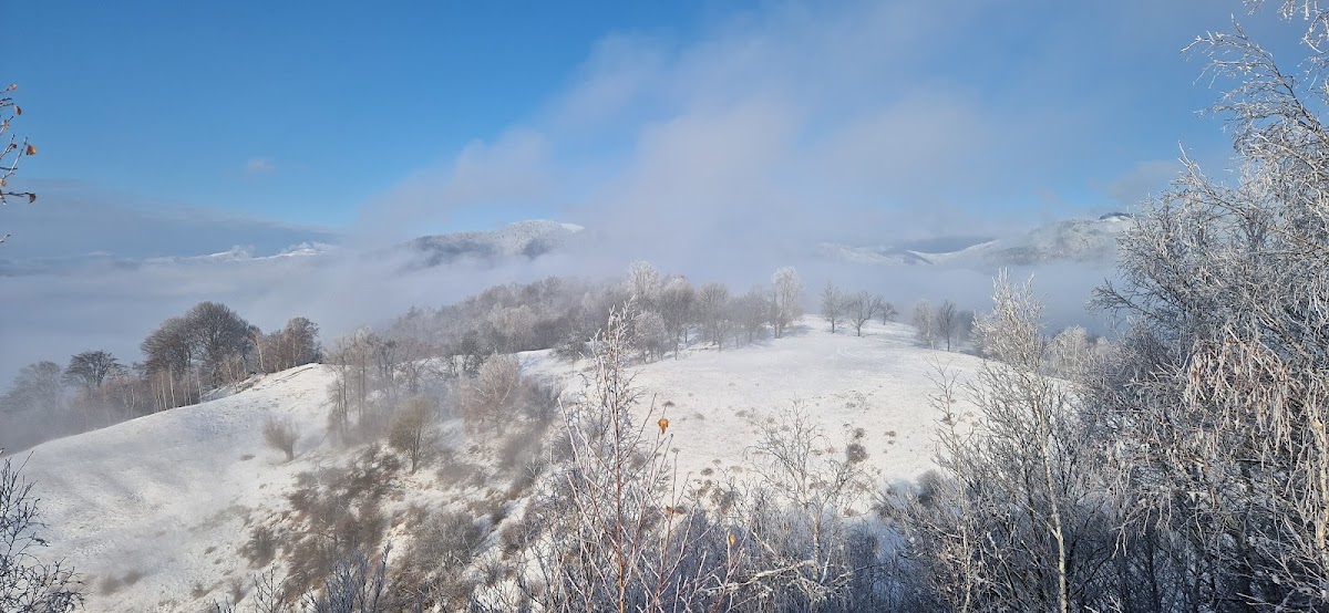 Vf. Măciuca - foto 4