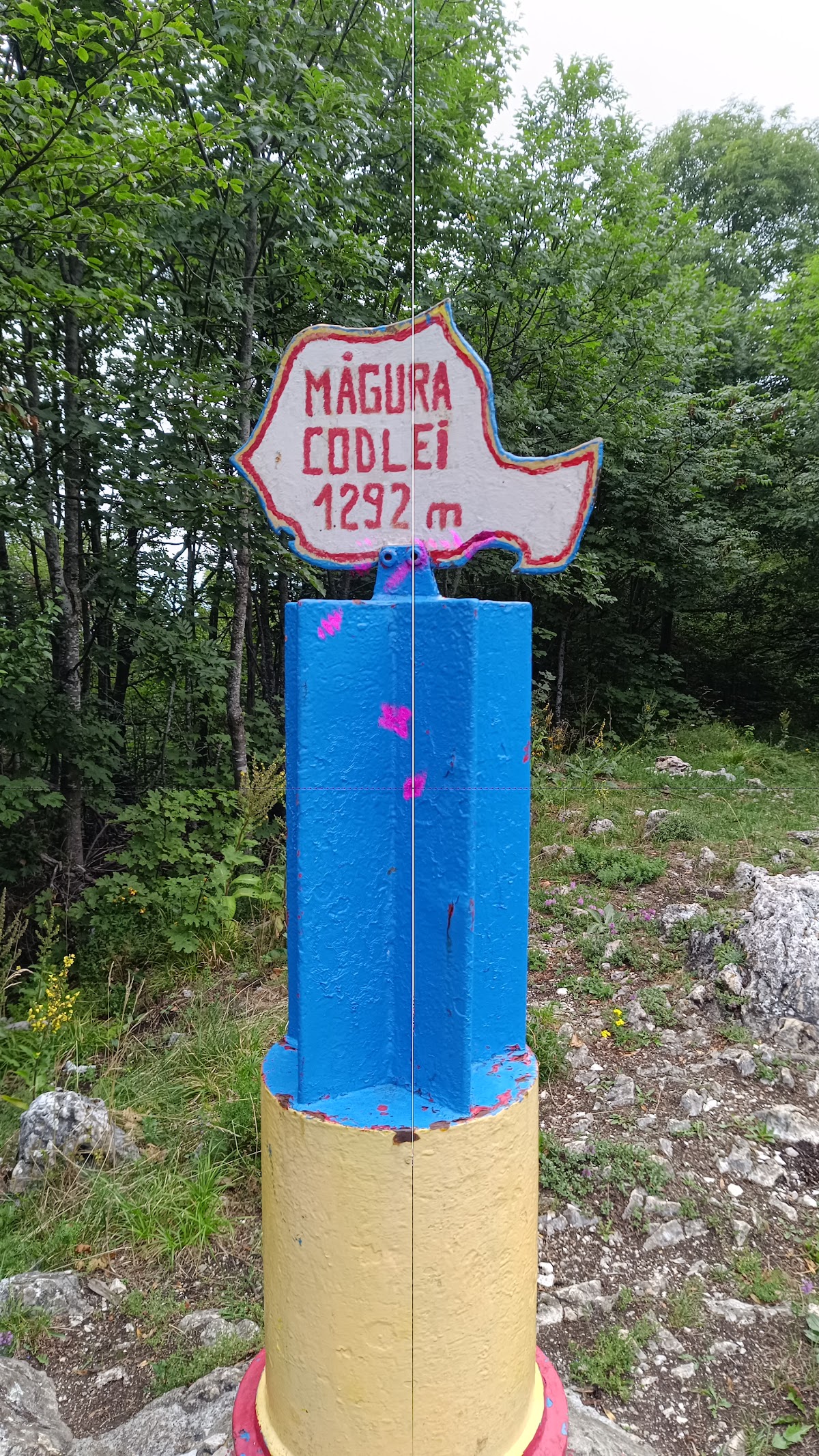 Vf. Măgura Codlei
