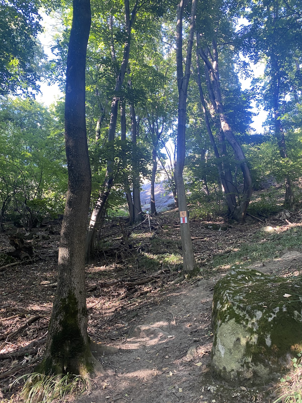 Via Ferrata Bătarci - foto 5