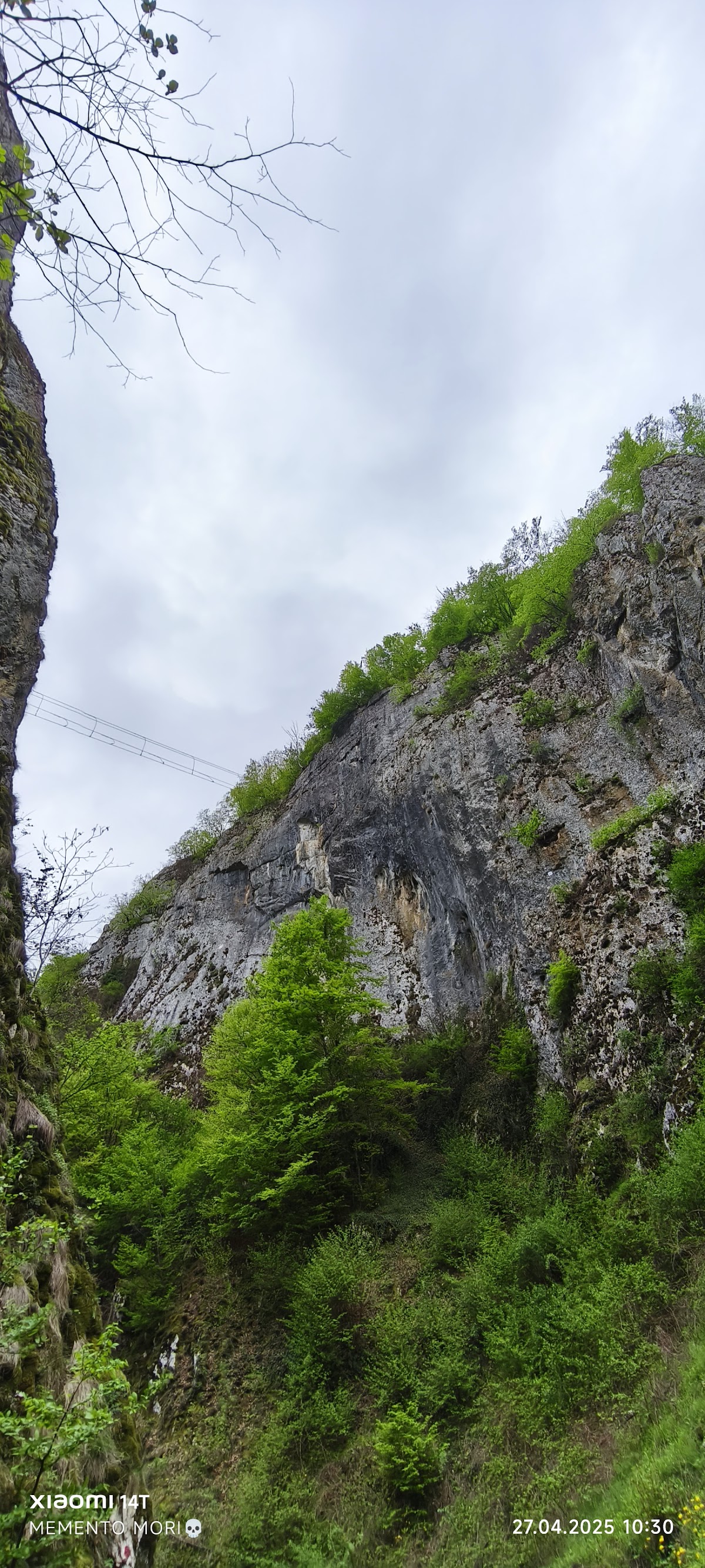 Roşia