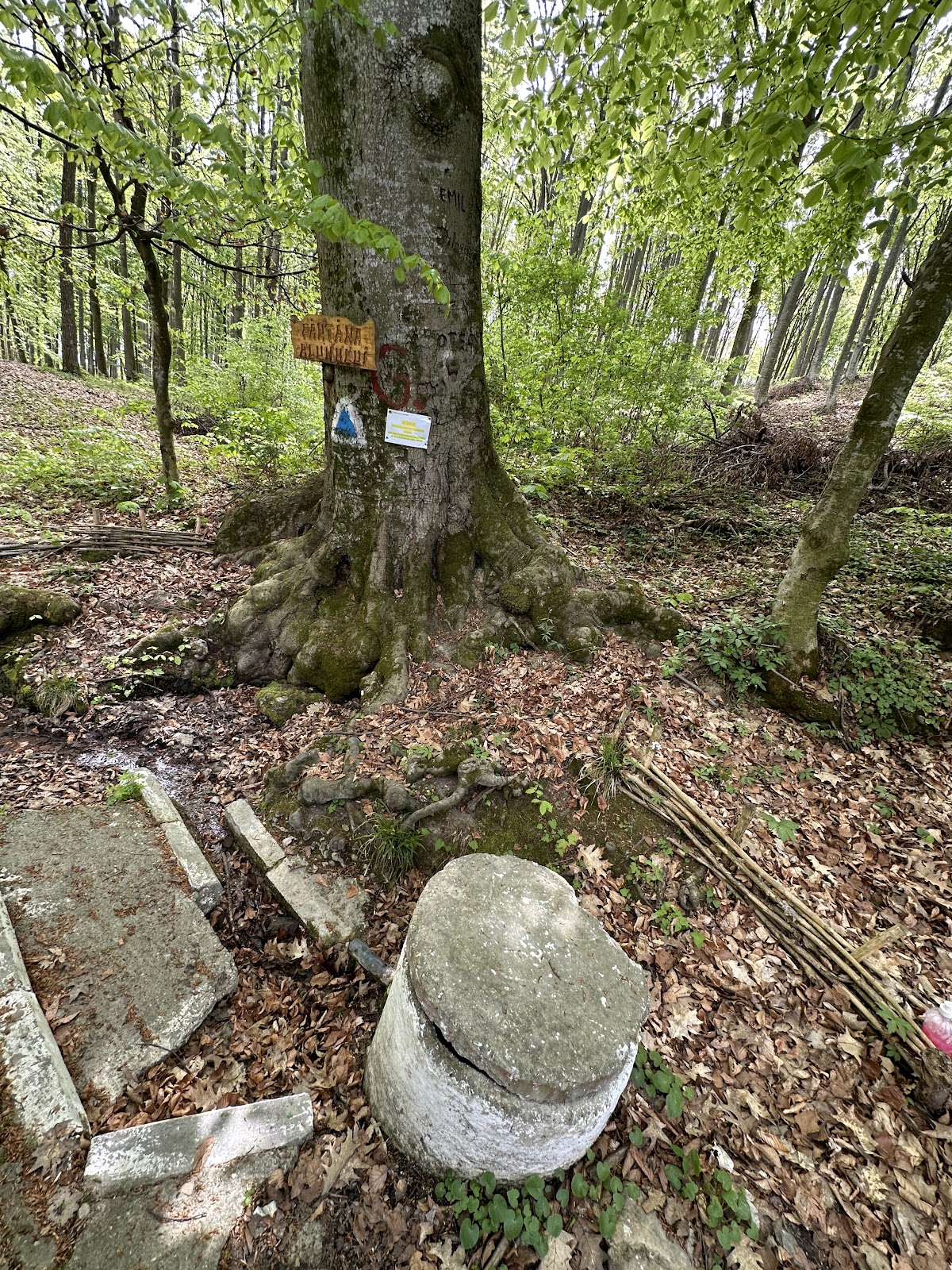 Via RUNC - sendero de senderismo - foto 5