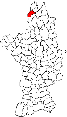 Viata rurala Dobroteasa, Dobroteasa