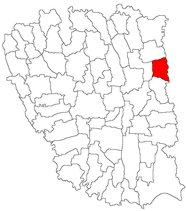 Landleben Oancea, Oancea