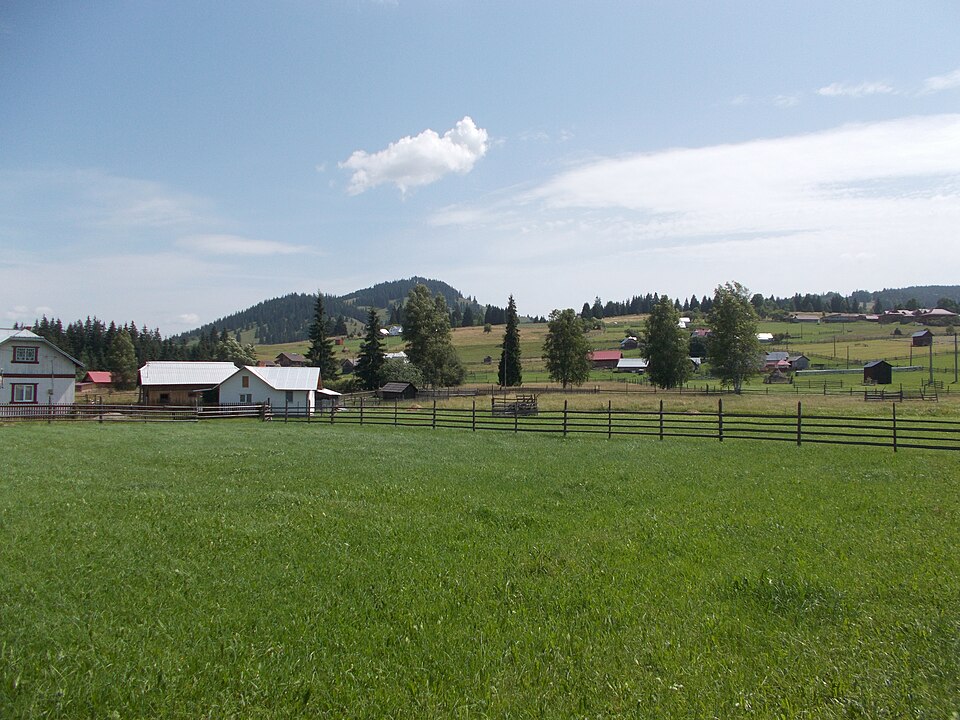 Viata rurala Poiana Negrii