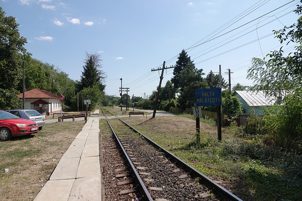 Viata rurala Sfârleanca