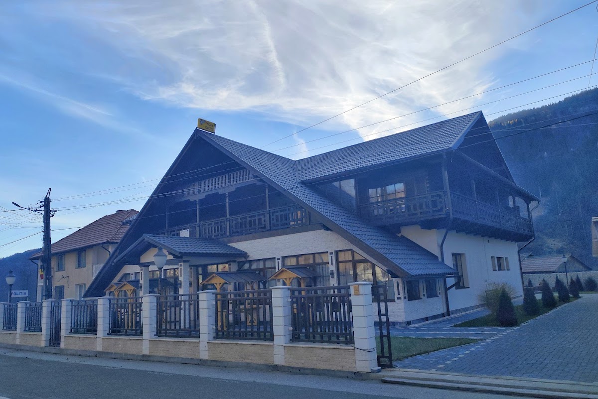 Vidra Dacica